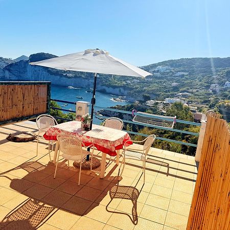 Apartmán Ponzamania La Terrazza Di Cala Feola Exteriér fotografie