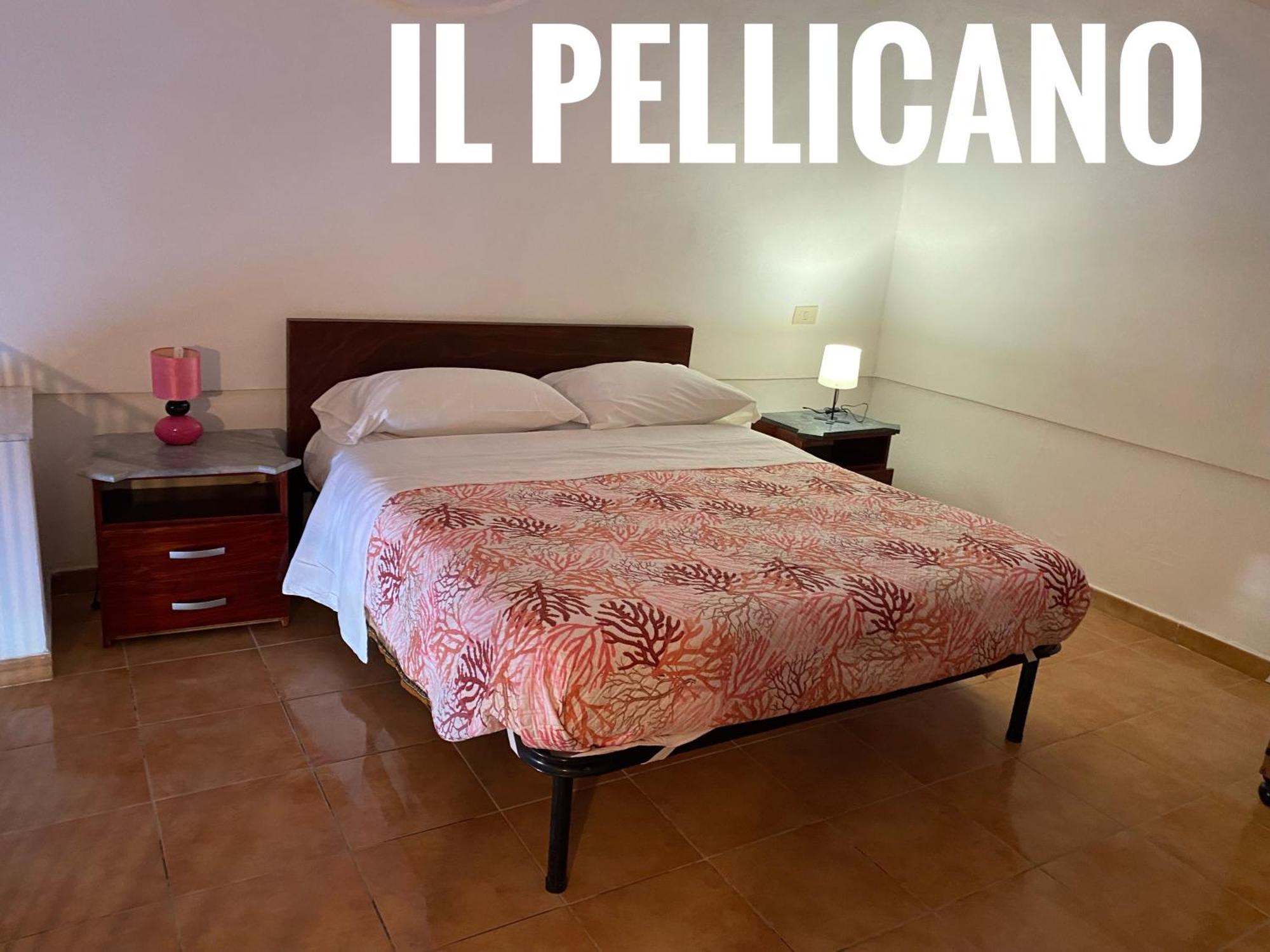 Apartmán Ponzamania La Terrazza Di Cala Feola Exteriér fotografie